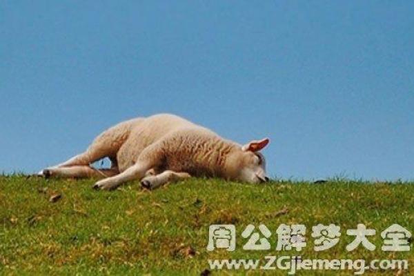 梦见以命换命失败的深层含义与解析 梦见以命换命失败的深层含义与解析