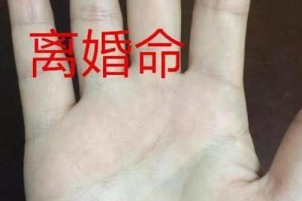 命带白虎之人应当注意的生活与事业指南 命带白虎之人应当注意的生活与事业指南