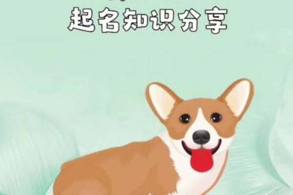 你知道名字有9画代表什么命运吗?探寻姓名的奥秘与人生的关系! 你知道名字有9画代表什么命运吗?探寻姓名的奥秘与人生的关系!