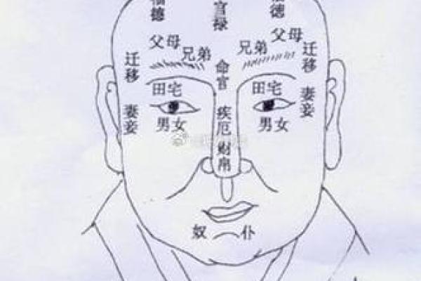 眉毛八字形象征运势解读与命理分析 眉毛八字形象征运势解读与命理分析