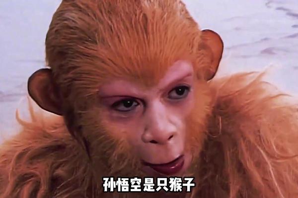 六月份属猴的人命理解析:智慧与机会并存的生肖命运 六月份属猴的人命理解析:智慧与机会并存的生肖命运