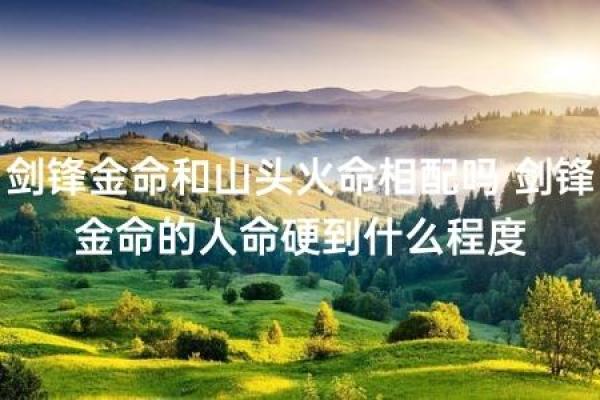 命硬的人与哪些属相最为相配,解锁命理背后的秘密! 命硬的人与哪些属相最为相配,解锁命理背后的秘密!