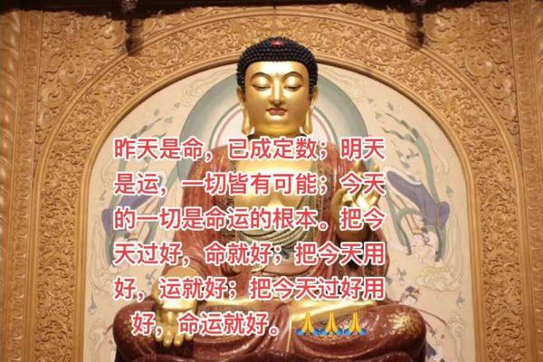 明天出生的人究竟是什么命?探秘生命轨迹与性格特点 明天出生的人究竟是什么命?探秘生命轨迹与性格特点