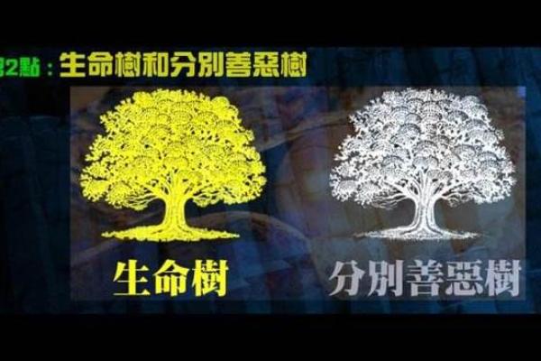 明天出生的人究竟是什么命?探秘生命轨迹与性格特点 明天出生的人究竟是什么命?探秘生命轨迹与性格特点