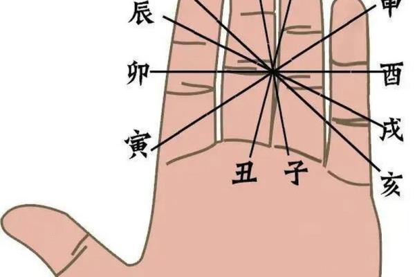 女命八字天地相合的深意与人生影响解析 女命八字天地相合的深意与人生影响解析