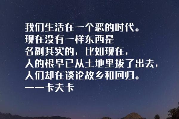 卢气卢命:闽南话中的智慧与哲理探讨 卢气卢命:闽南话中的智慧与哲理探讨