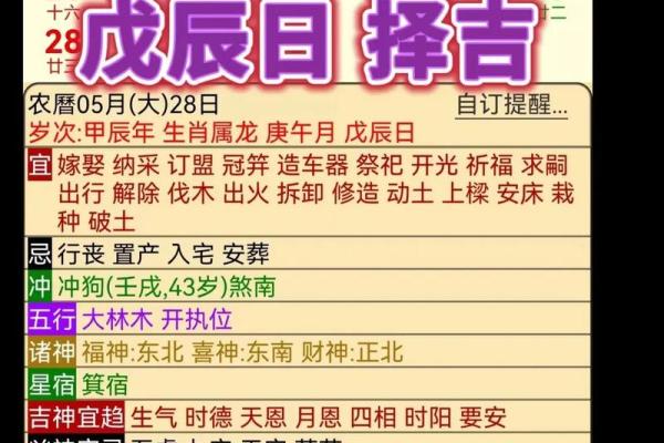 探寻龙与狗的命运:五行之间的神秘联系 探寻龙与狗的命运:五行之间的神秘联系