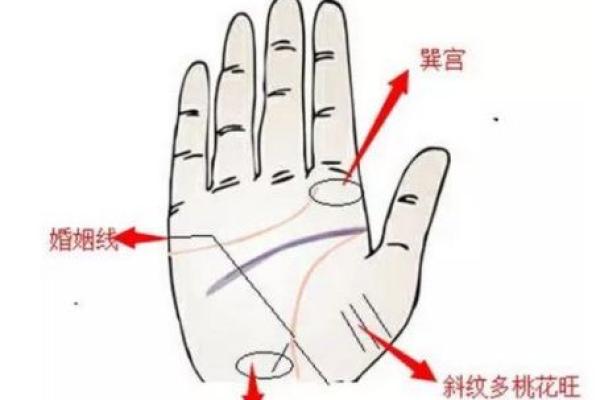 命带四桃花:解析桃花运与人生的奇妙联系 命带四桃花:解析桃花运与人生的奇妙联系