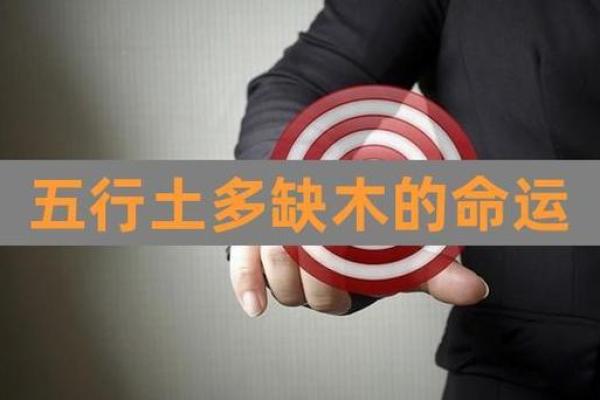路旁土命羊女:缺什么与如何弥补的全面解析 路旁土命羊女:缺什么与如何弥补的全面解析