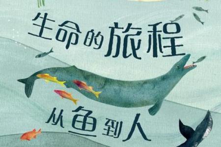 探秘女生八字丙火命运：火花般的生命旅程与机遇