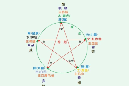 南昌话“心肝命肝”的深意与生活智慧