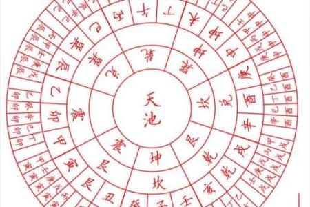 农历属相与财富运势：哪些人天生富贵？