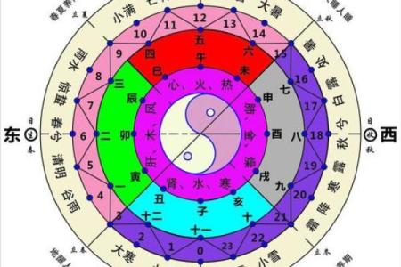 女命己土为何财运不佳的真相剖析