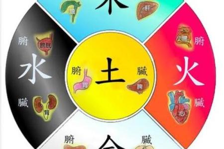 炉中火命与其他命格的完美搭配与相互影响