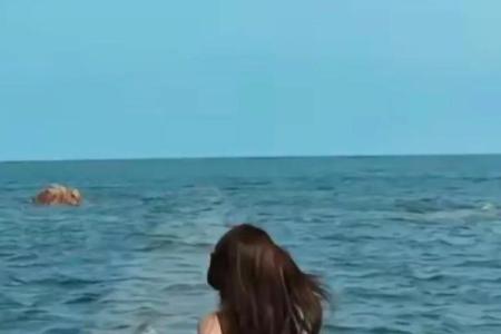 女人说“信命”了，背后隐藏着怎样的人生哲学？