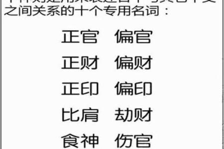 理科男命运分析：八字解密与性格特点