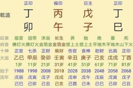 探寻农历三个十九的命理解读与人生指引