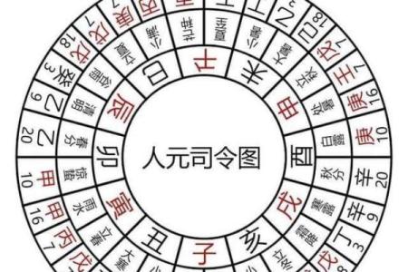 探秘命理：命局对一个人命运的深刻影响与解读