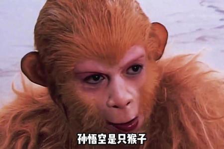 六月份属猴的人命理解析：智慧与机会并存的生肖命运