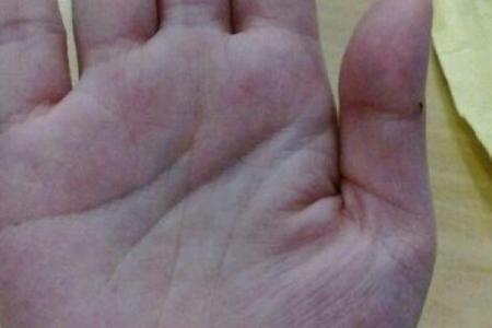 命硬富贵命的深刻解析，探索命运背后的秘密与财富之道