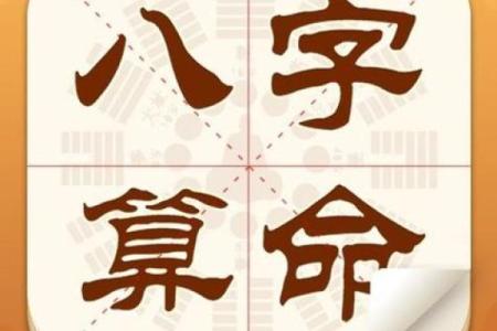 命里有带两桶金：解读命理中的财富象征与人生轨迹
