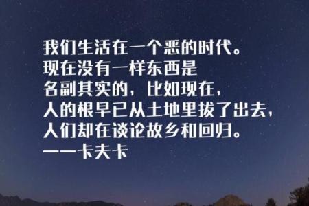 卢气卢命：闽南话中的智慧与哲理探讨