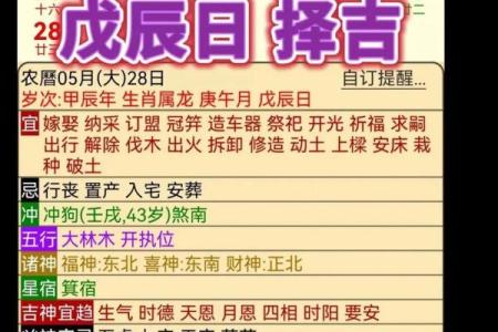 探寻龙与狗的命运：五行之间的神秘联系