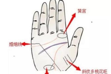 命带四桃花：解析桃花运与人生的奇妙联系