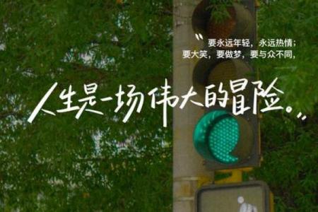 拼了命要了命：现代人生活的剧烈矛盾和挣扎