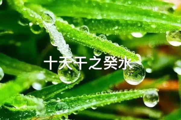 探究女命天干癸水的深刻意义与人生启示 探究女命天干癸水的深刻意义与人生启示