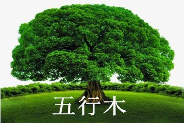 木五行属性:解析木命的特质与人生轨迹 木五行属性:解析木命的特质与人生轨迹