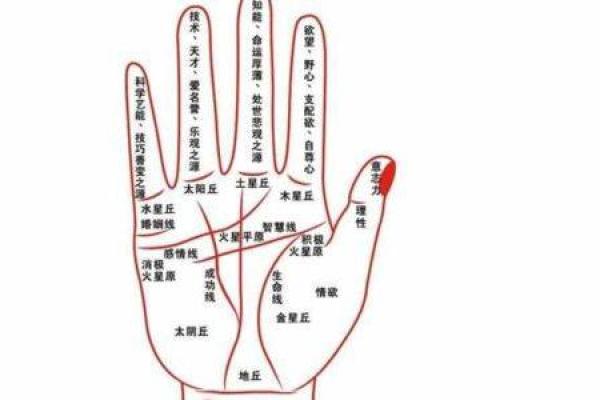 从面相和手相看女性的命运与人生轨迹 从面相和手相看女性的命运与人生轨迹