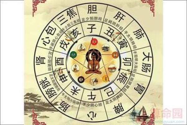 命里缺水的人生运势与调理方法探讨 命里缺水的人生运势与调理方法探讨