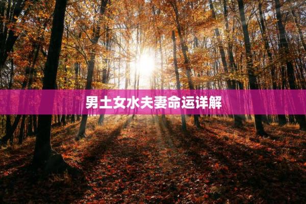 探寻土命的奥秘:如何让你的命运更加旺盛? 探寻土命的奥秘:如何让你的命运更加旺盛?