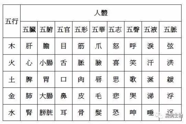 五行命理与中医:探寻你的健康密码 五行命理与中医:探寻你的健康密码