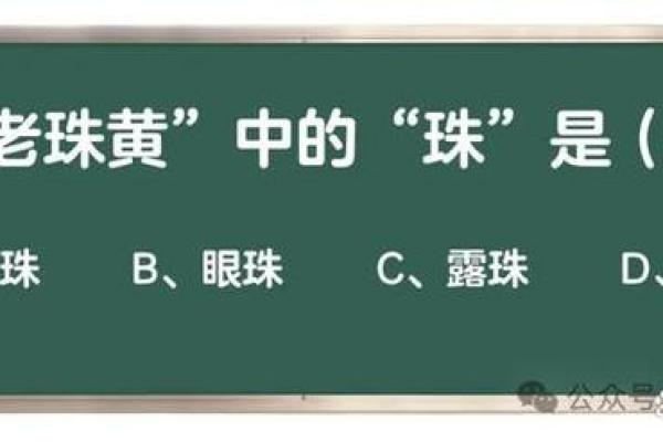 探究女命三进水的深意与人生智慧 探究女命三进水的深意与人生智慧