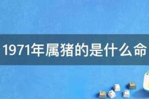 卯时出生的属猪与属兔,吃草命的命运解析与启示 卯时出生的属猪与属兔,吃草命的命运解析与启示