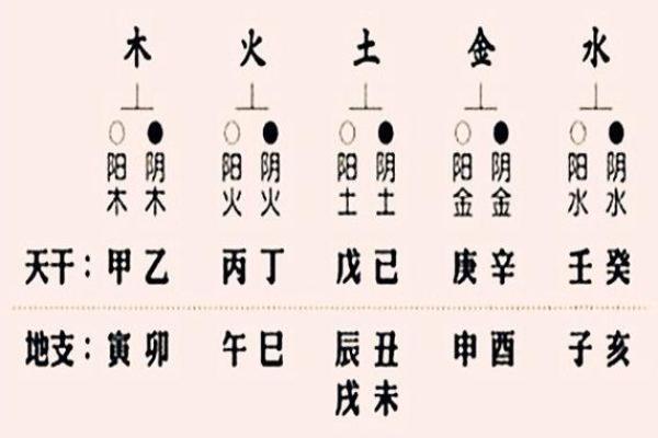 木命克什么?揭开五行之谜,探索木命的奥秘! 木命克什么?揭开五行之谜,探索木命的奥秘!