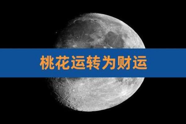 路旁土命家居挂什么图最旺运,提升财运与桃花运! 路旁土命家居挂什么图最旺运,提升财运与桃花运!