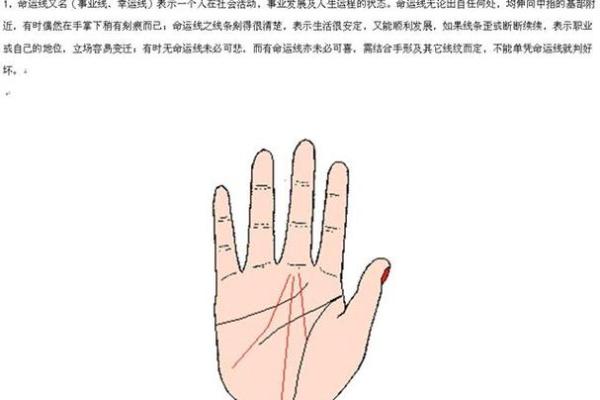 命理格局解析:了解自己命运的隐藏密码与生活的智慧 命理格局解析:了解自己命运的隐藏密码与生活的智慧