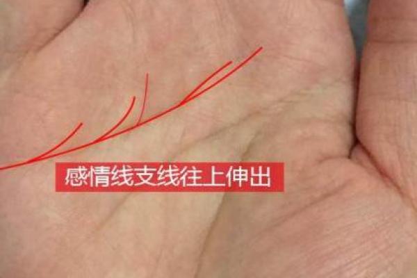路旁土命女人:如何找到命中注定的另一半? 路旁土命女人:如何找到命中注定的另一半?