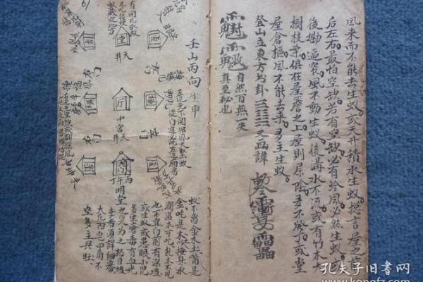 命里带什么?探寻中国传统武术与命理的深层联系 命里带什么?探寻中国传统武术与命理的深层联系