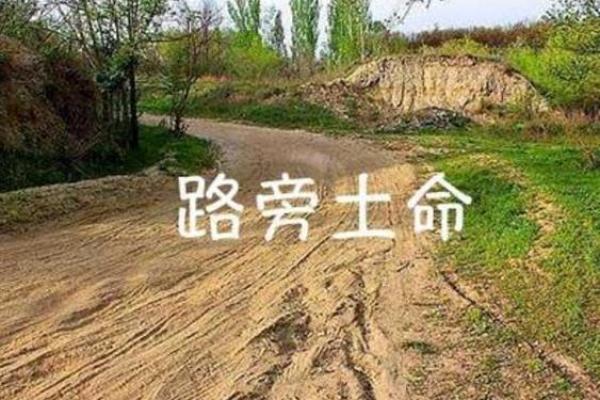 路旁土命羊女:探索她们缺失的情感与成长之路 路旁土命羊女:探索她们缺失的情感与成长之路