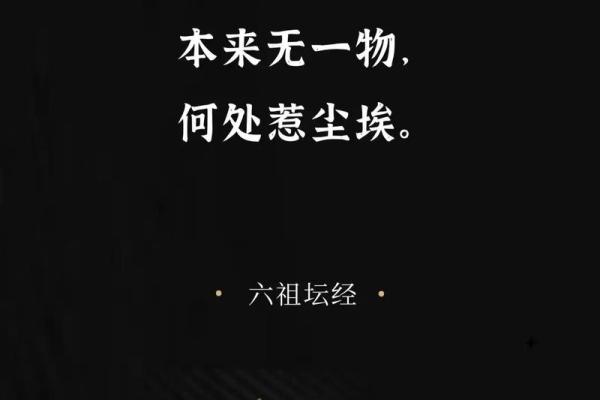 “没得命没得命” —— 探索生命的深刻意义与情感共鸣 “没得命没得命” —— 探索生命的深刻意义与情感共鸣