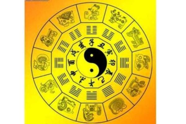 1994年11月出生的人命理解析与人生走向 1994年11月出生的人命理解析与人生走向