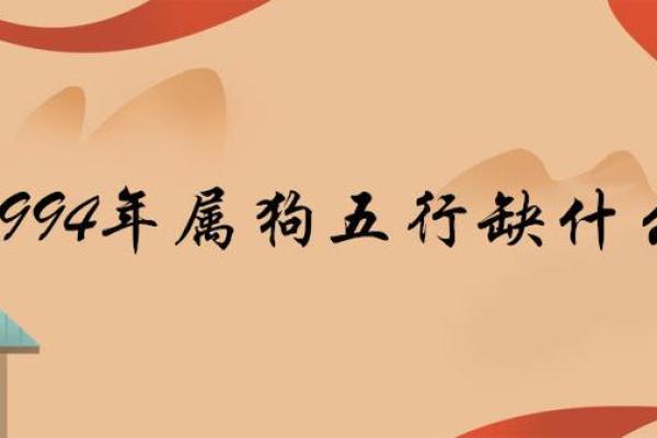 1994年11月出生的人命理解析与人生走向 1994年11月出生的人命理解析与人生走向