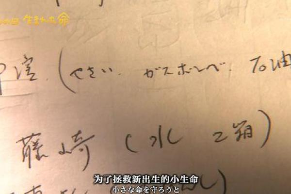 命里有三个儿子的命是什么?探讨与解析! 命里有三个儿子的命是什么?探讨与解析!