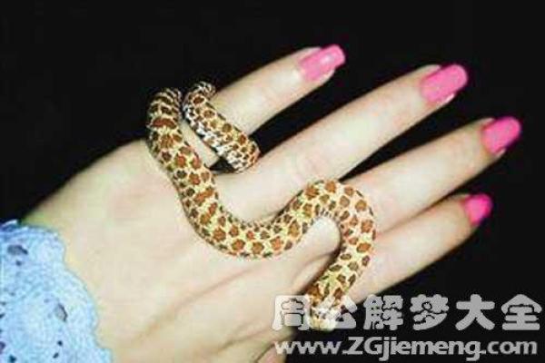 梦到救了老婆一命:解梦背后的深意与情感探讨 梦到救了老婆一命:解梦背后的深意与情感探讨