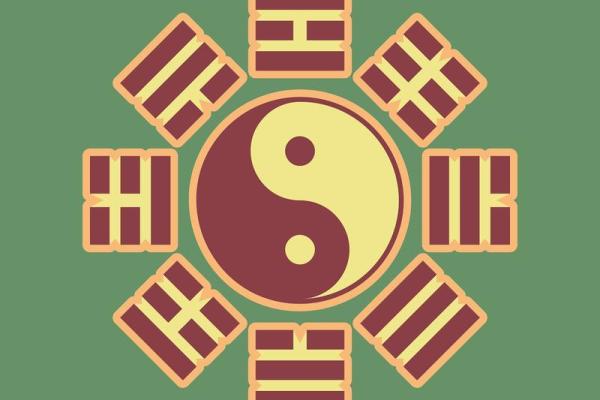女命八字解析:走官运与人生方向的深度解读 女命八字解析:走官运与人生方向的深度解读