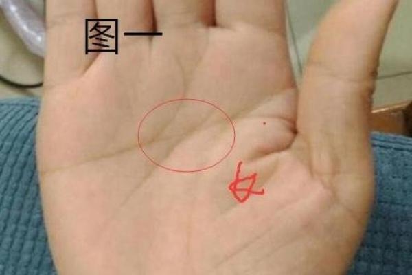 龙年出生的人命运为何多波折?探寻背后的深层原因 龙年出生的人命运为何多波折?探寻背后的深层原因
